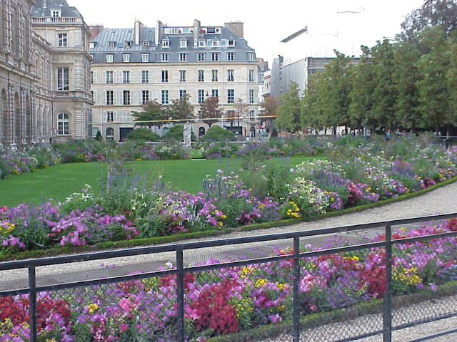 Jardim